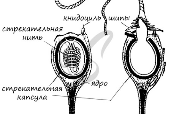 Kraken маркетплейс kr2web in