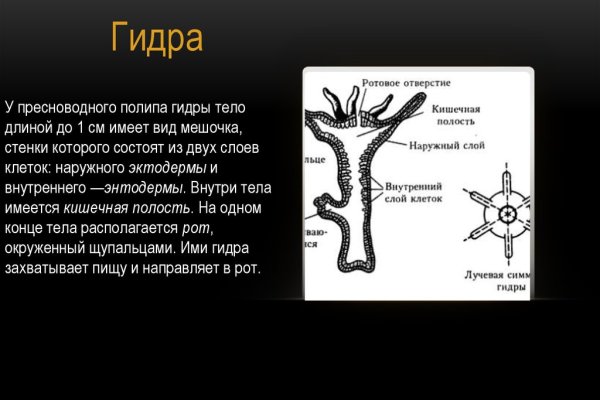 Kraken tor link